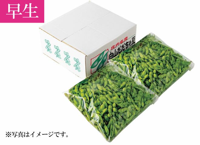 2026年度お届け分完売】［早生］だだちゃ豆2キロ［1kgx2袋入